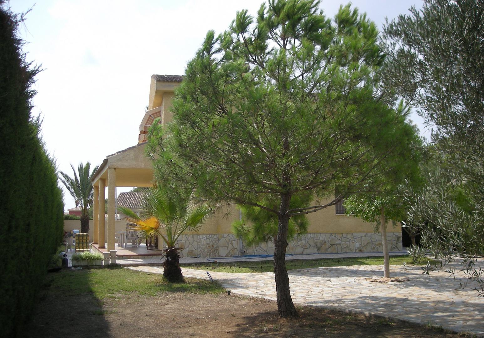  Orihuela Costa #6
