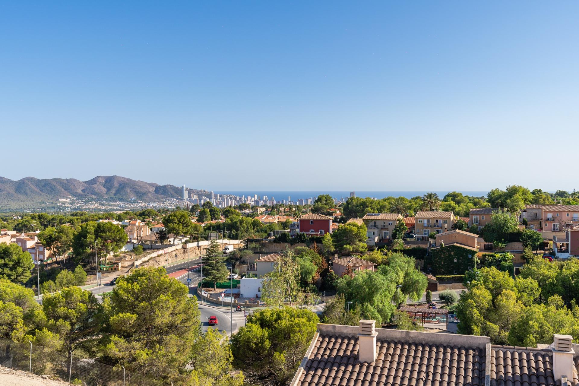  ALICANTE #4