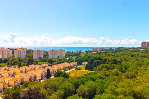  Orihuela Costa #14
