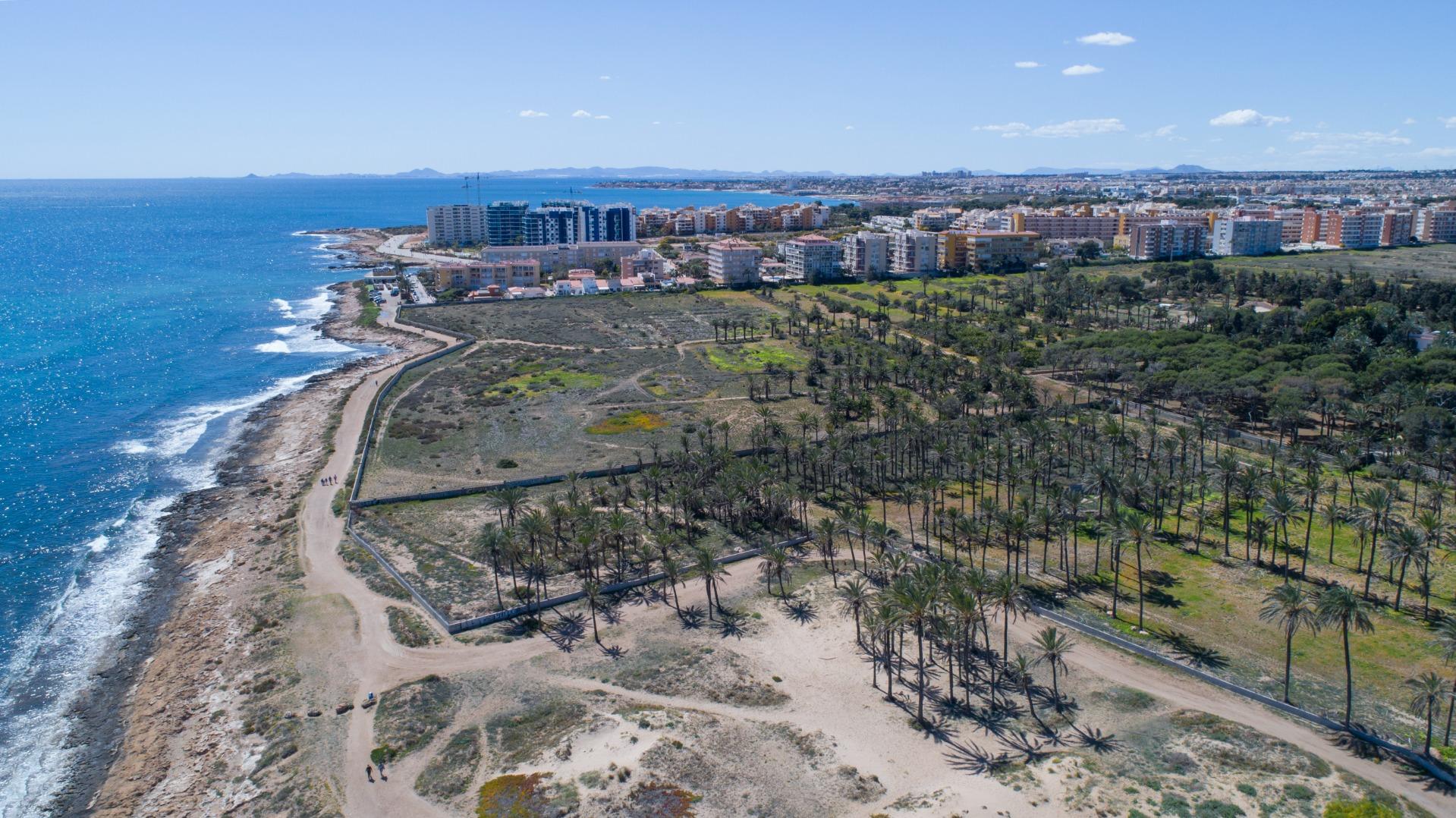  Torrevieja #22