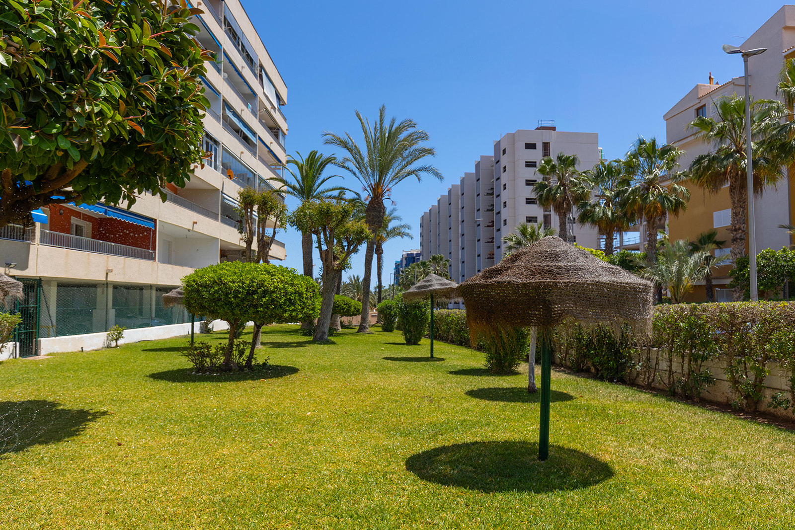 Apartament w Torrevieja #25