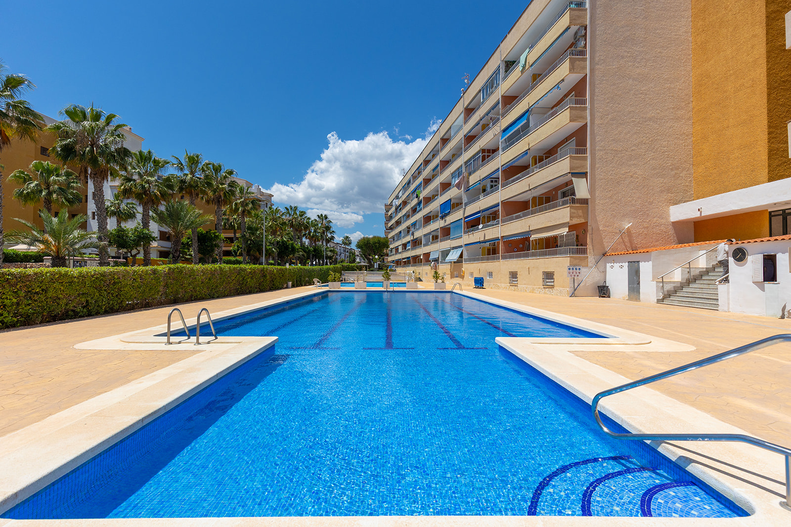 Apartament w Torrevieja #26