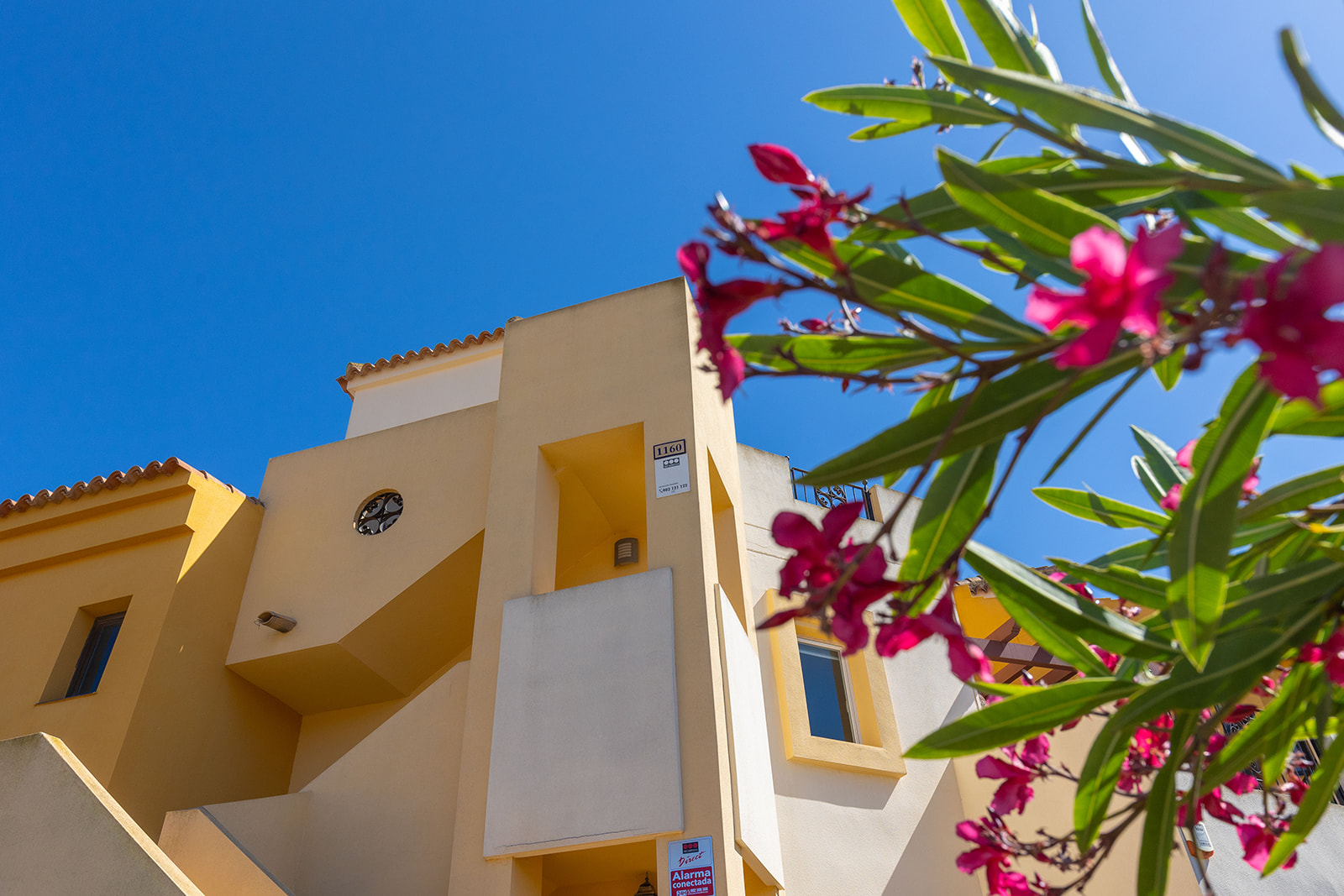 Apartament w Torrevieja #31