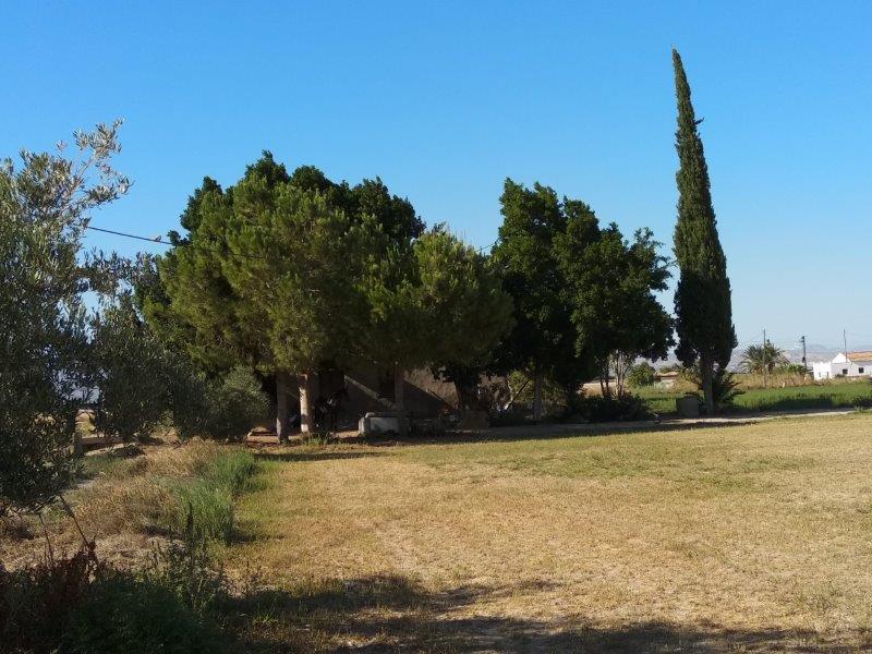  Callosa De Segura #26