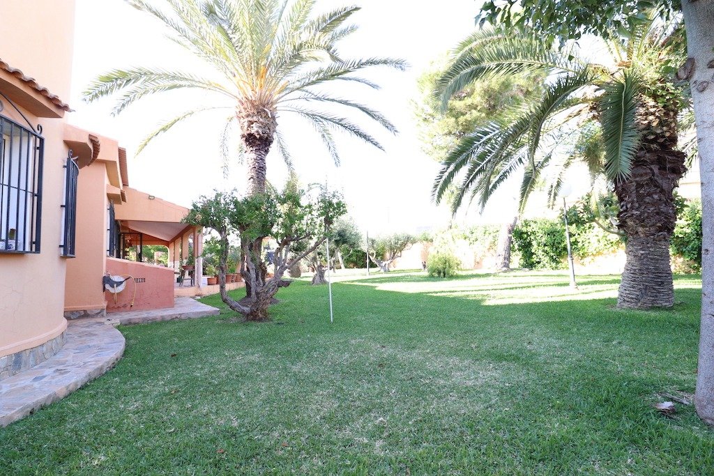  Torrevieja #31