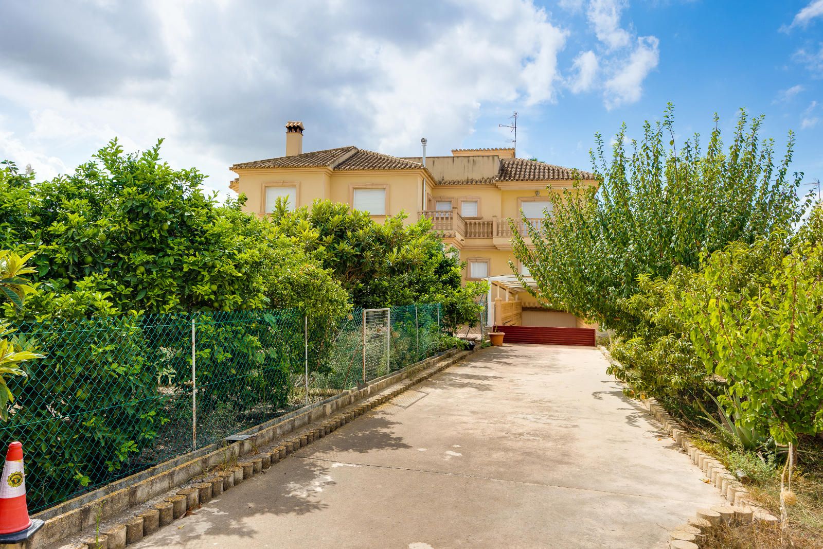  Orihuela #26