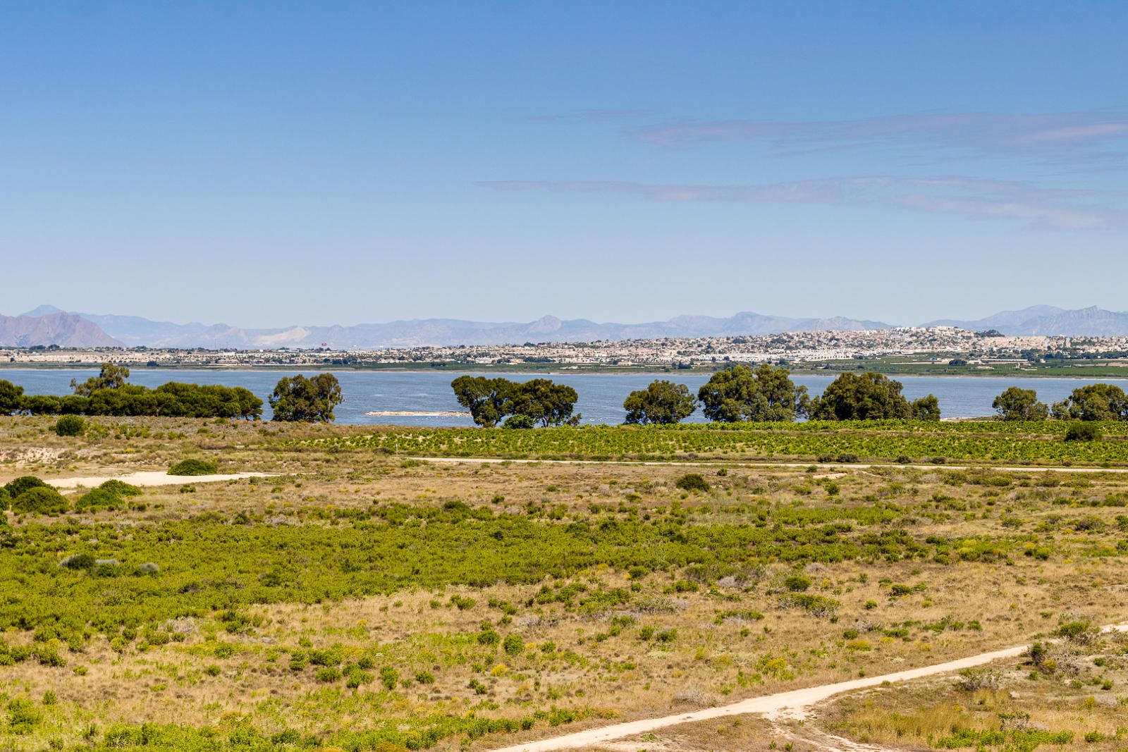 Nieruchomość w Torrevieja #33