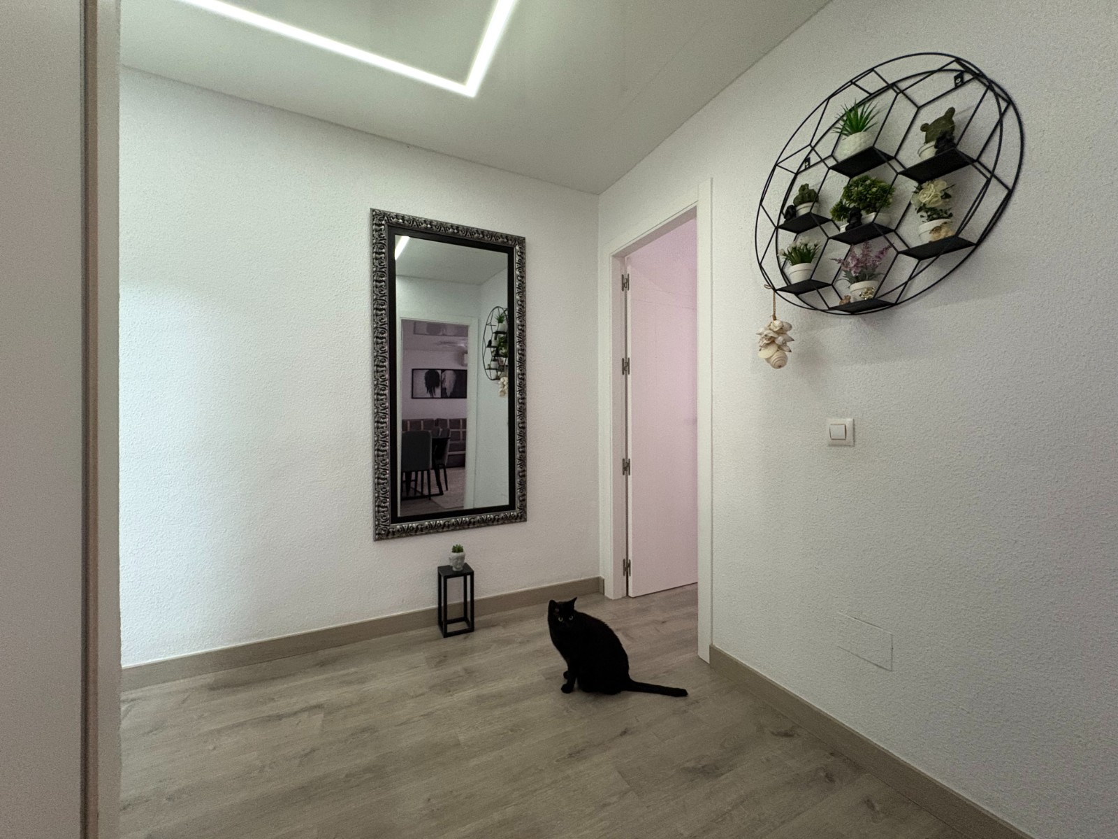 Apartament w Torrevieja #2