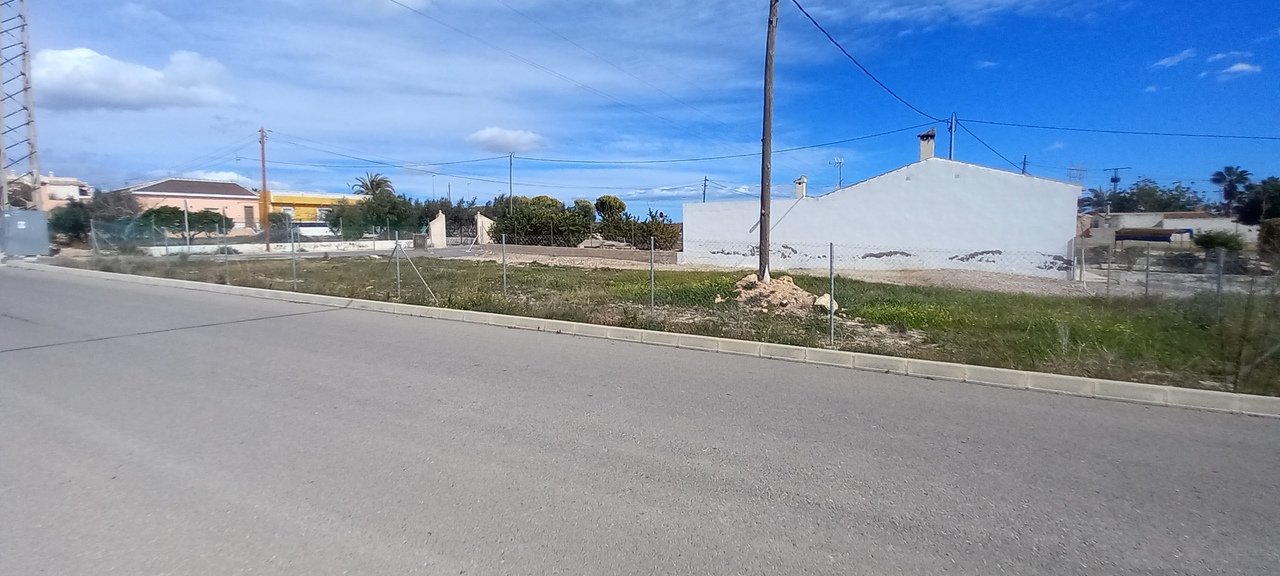  Los Montesinos #5