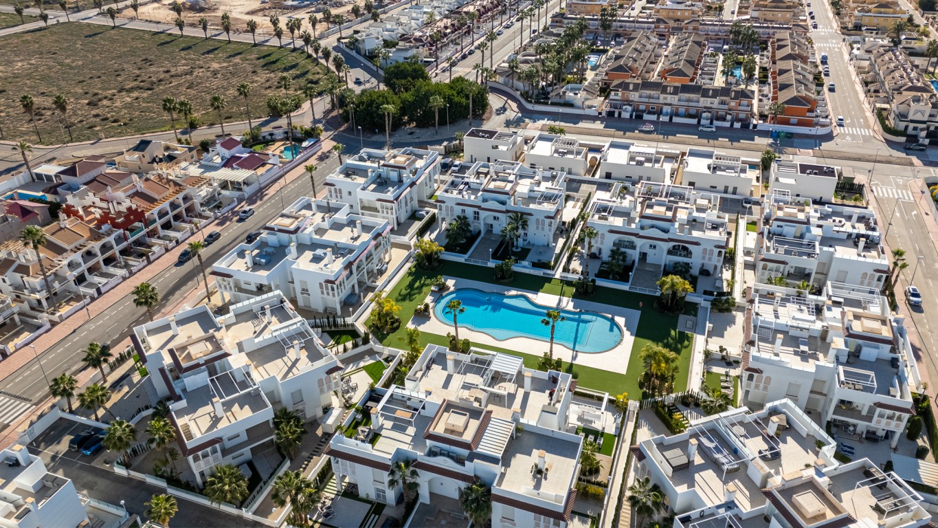  Alicante #56