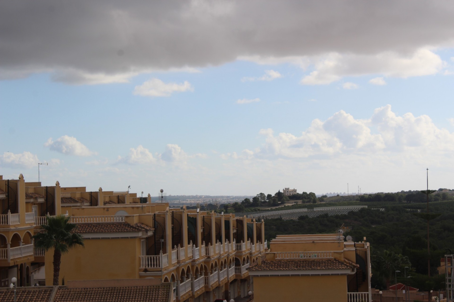  Algorfa #21