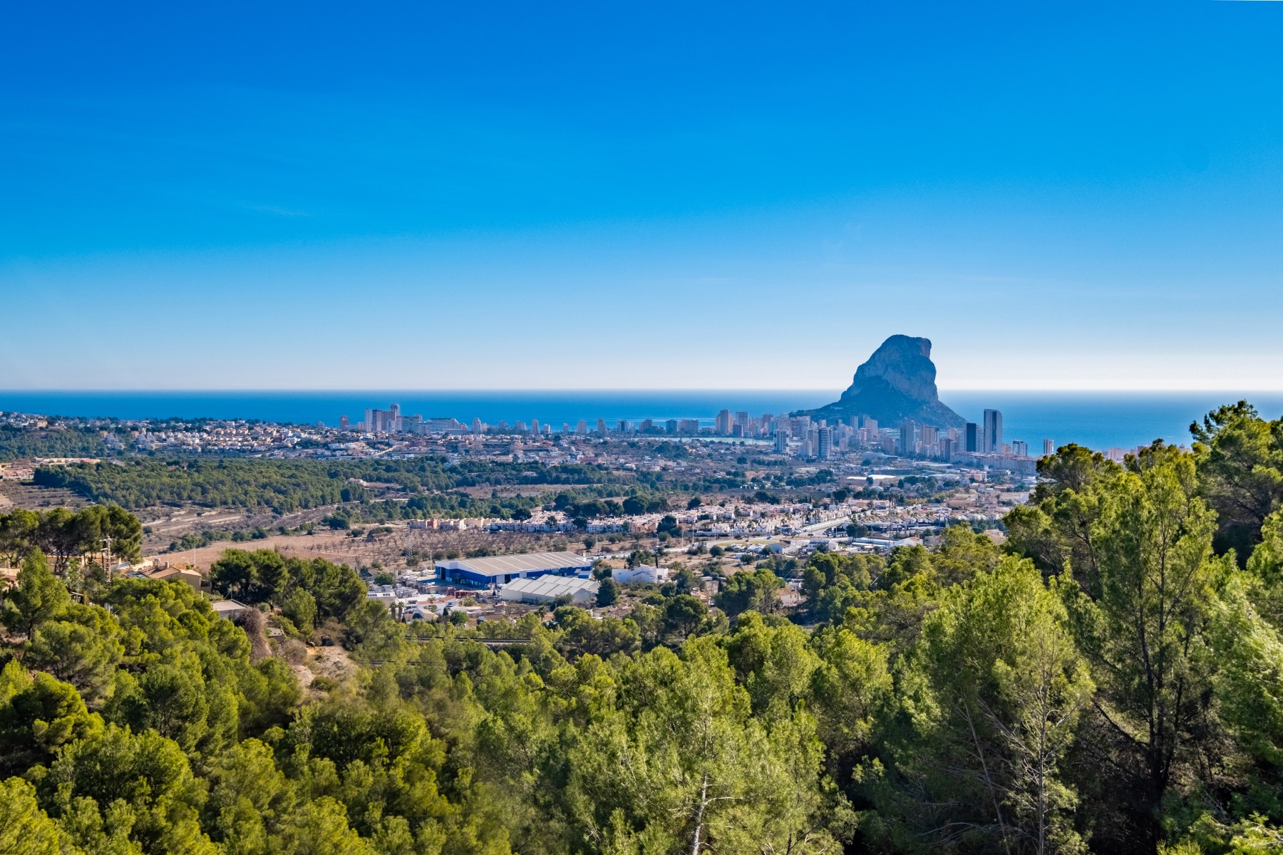 Calpe #16