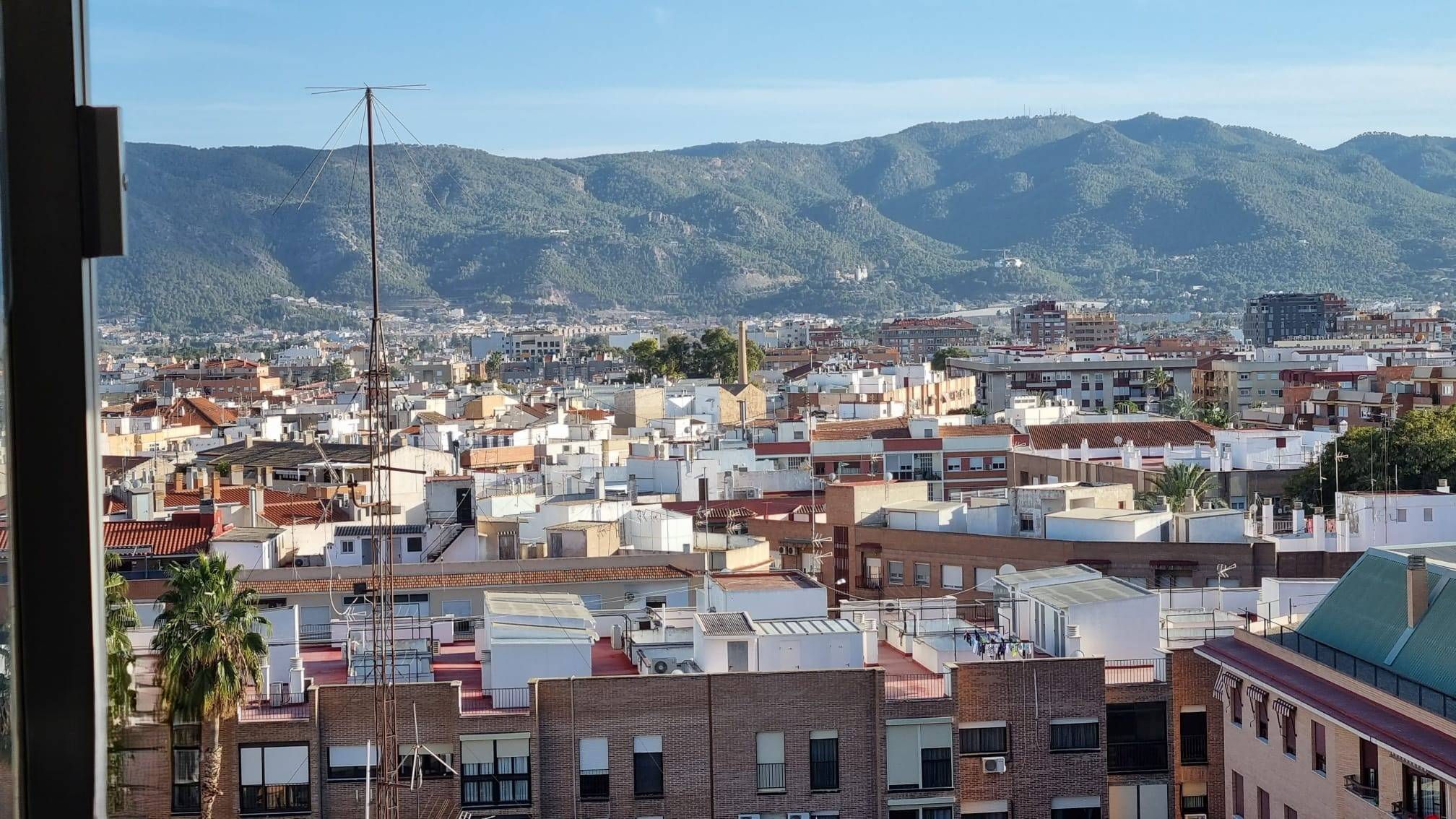  Murcia #14