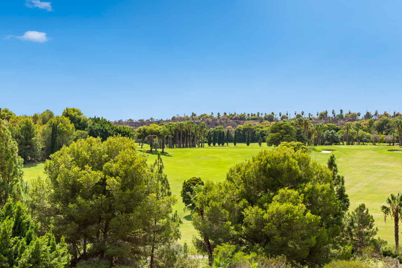  Orihuela Costa - Campoamor #22
