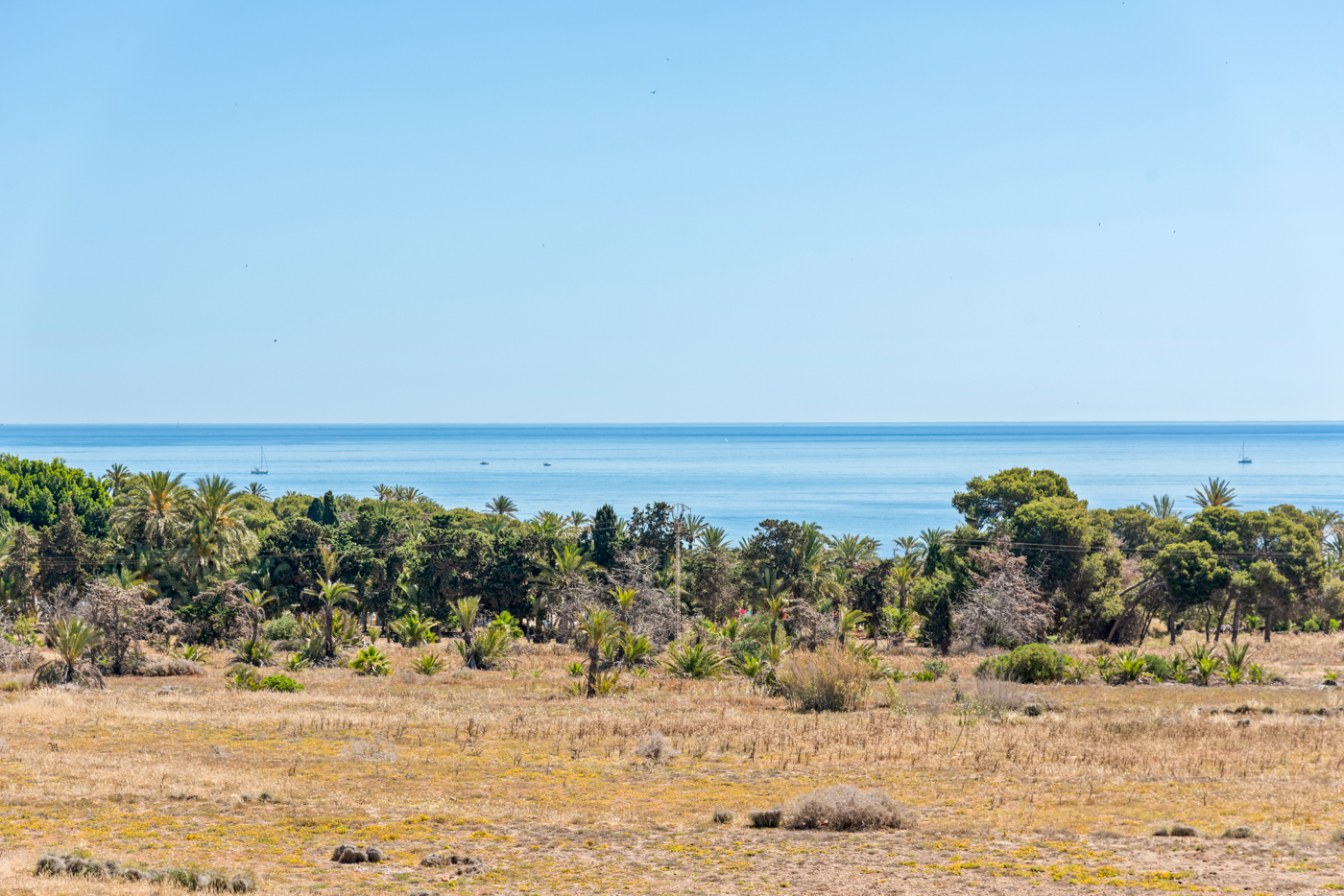  Orihuela Costa #7
