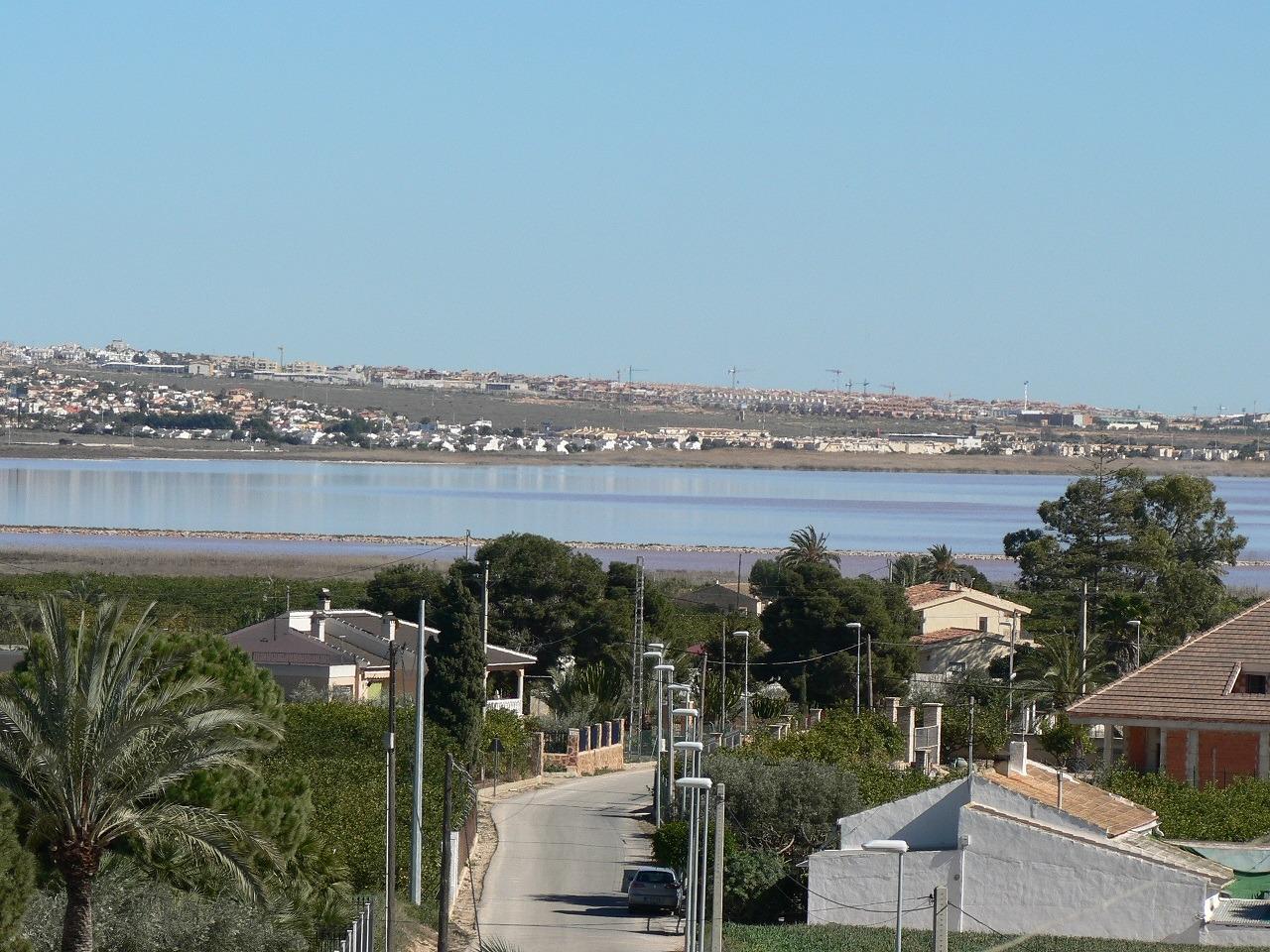  Los Montesinos #15