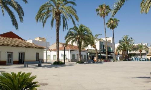  Algorfa #20