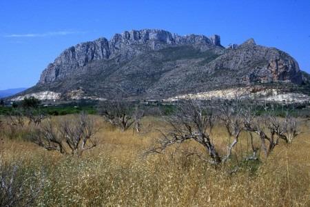 Apartament w Alicante #21