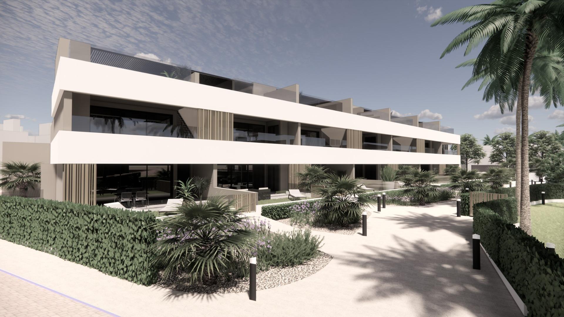  Torre - Pacheco #7