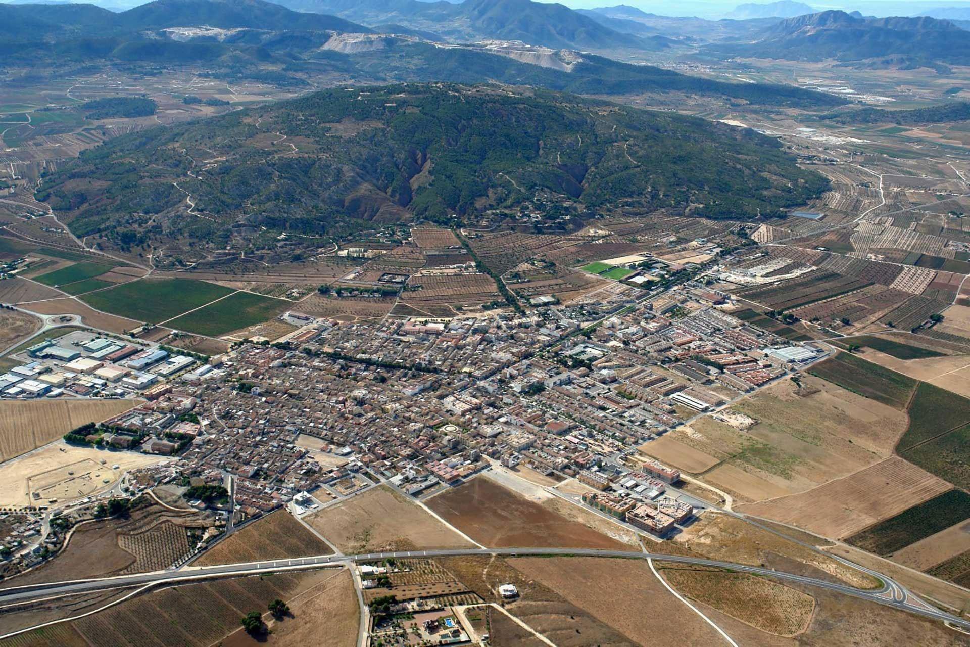  Alicante #17