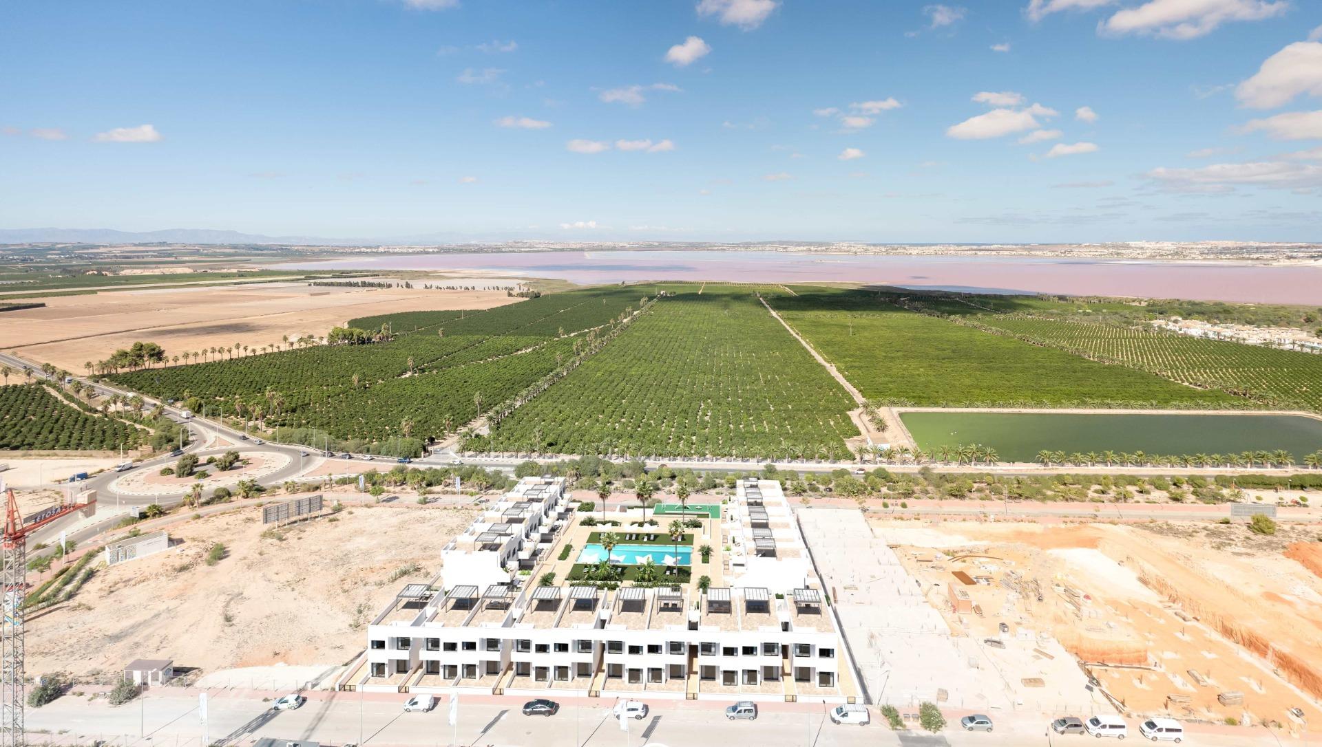  Torrevieja #12