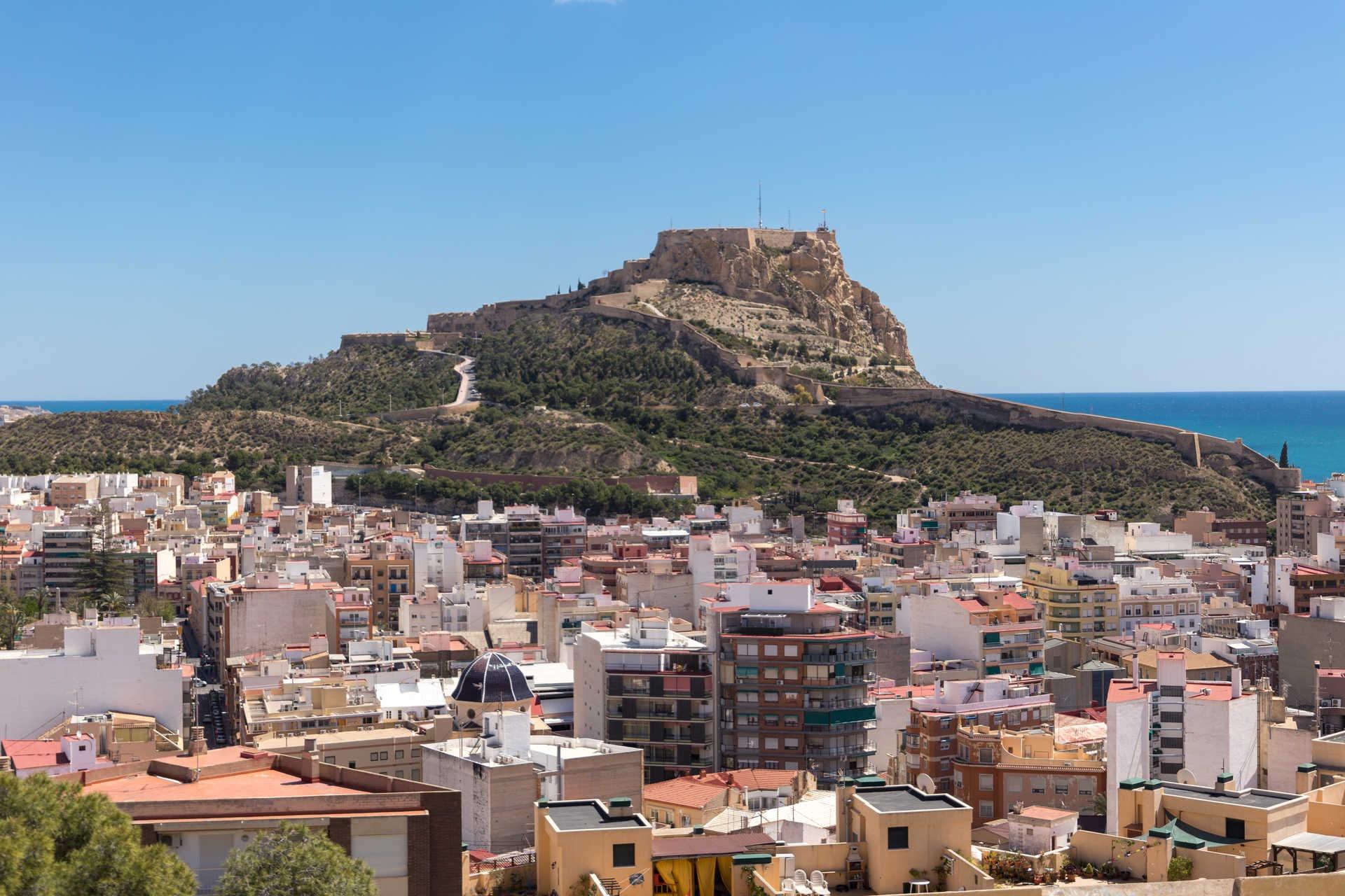  Alicante #15