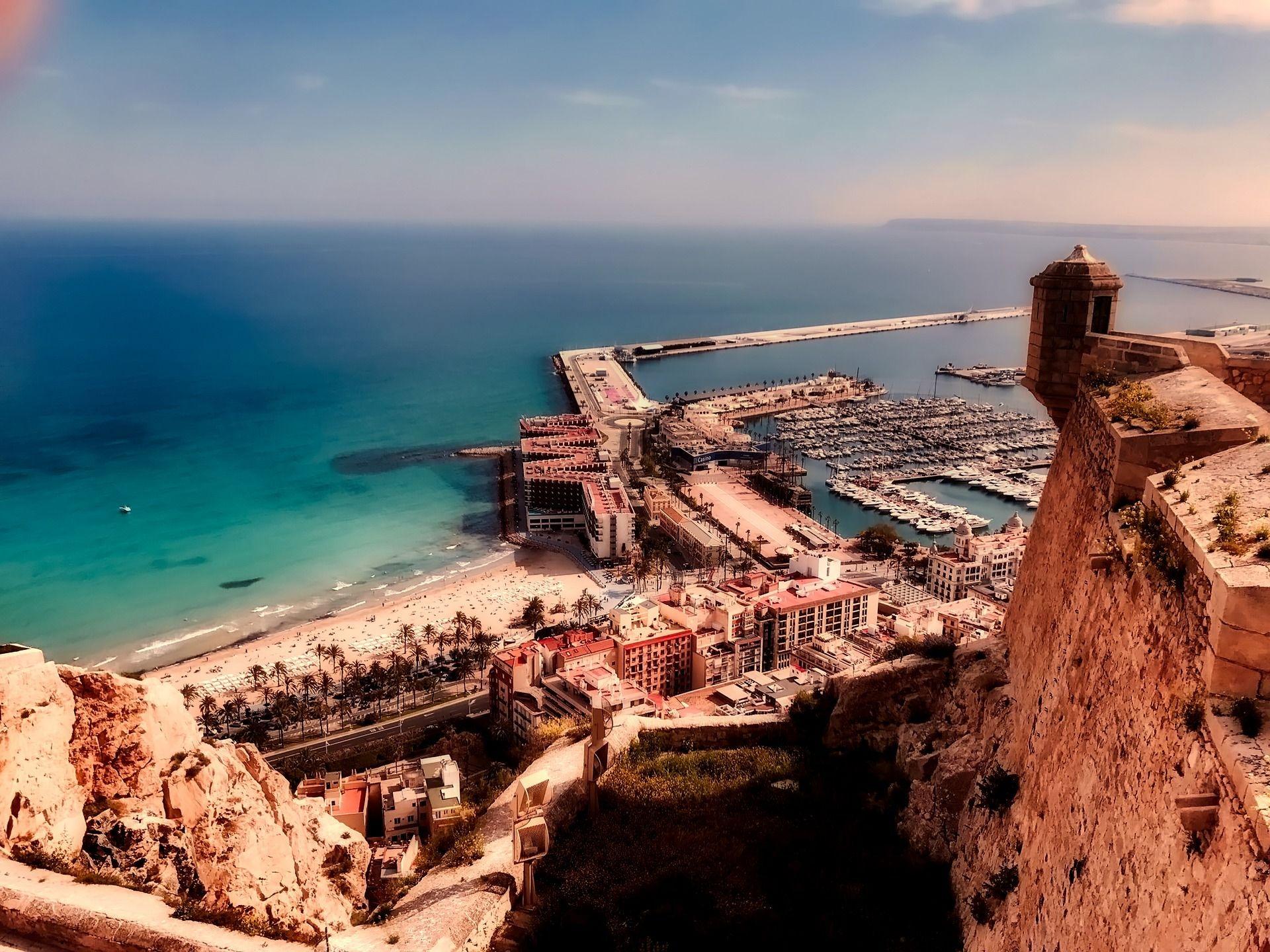  Alicante #17