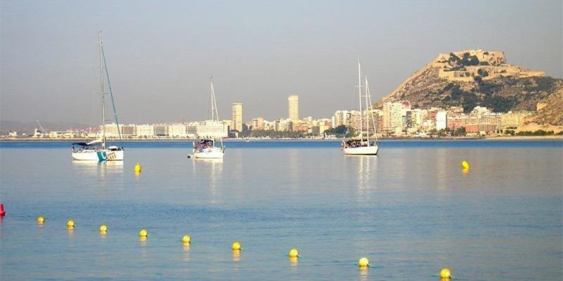  Alicante #16