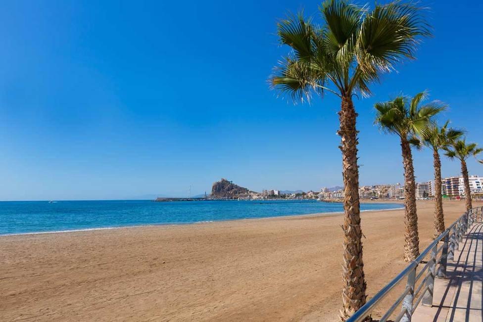  Murcia #10