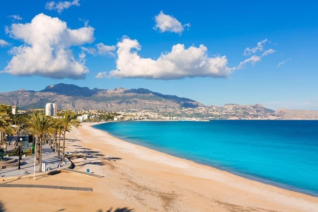  Alicante #11