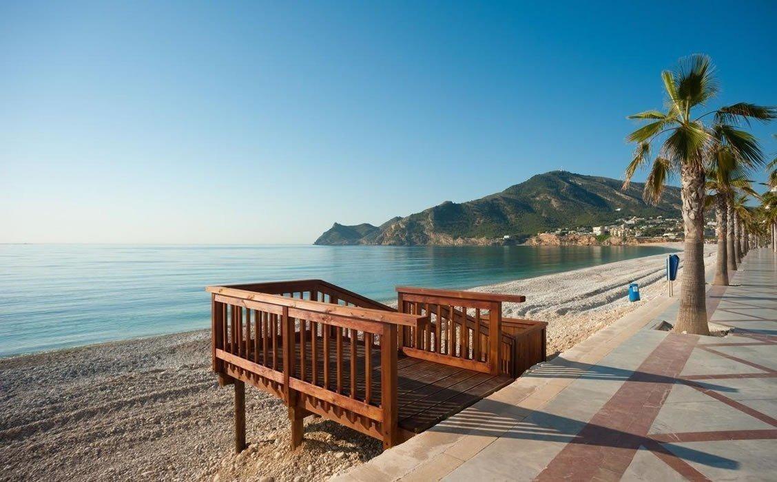  Alicante #12