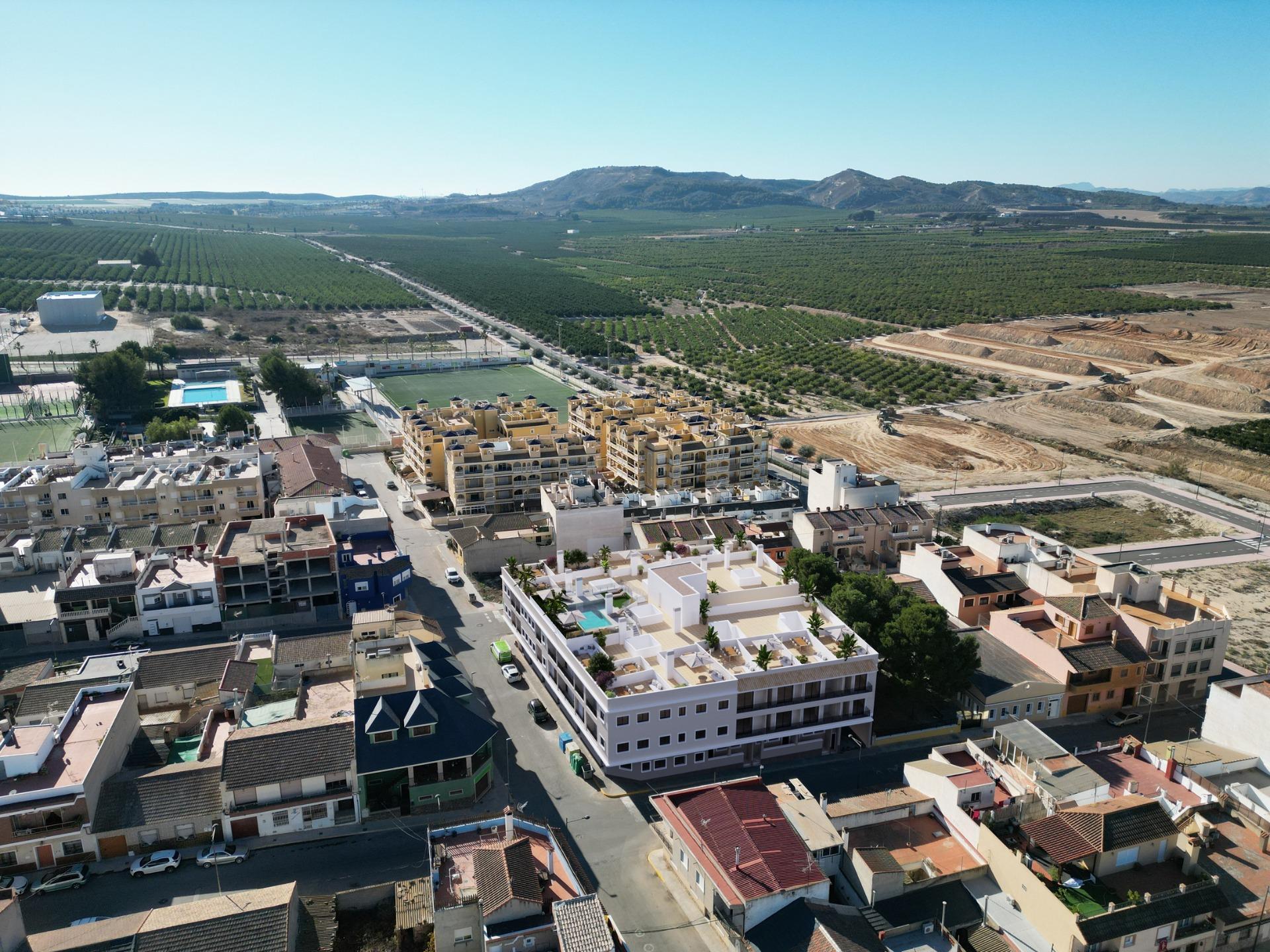  Algorfa #10