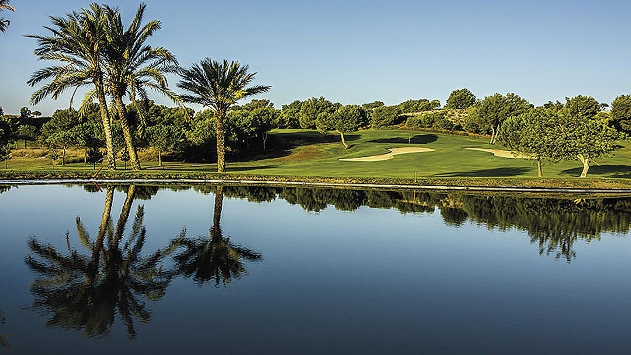  Alicante #19