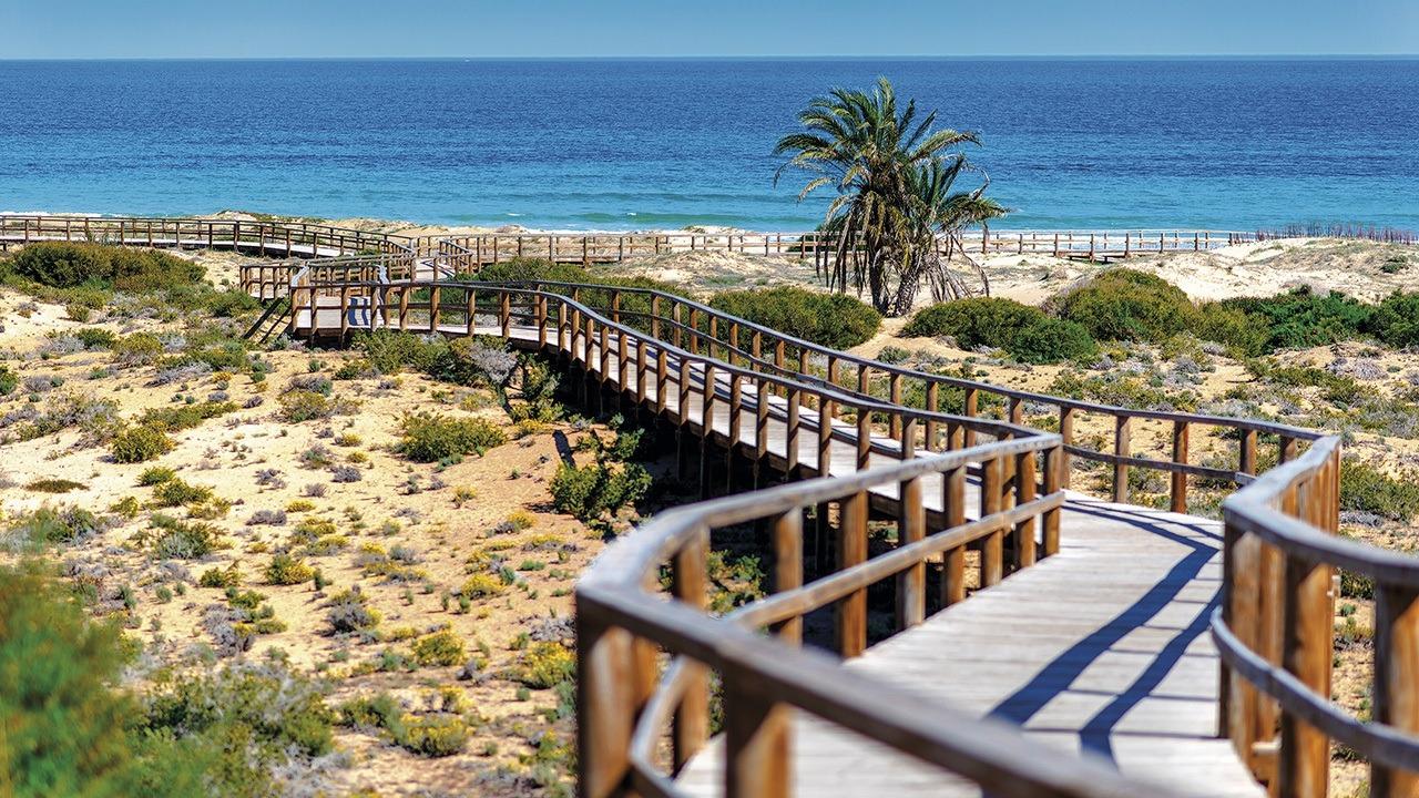  Alicante #23