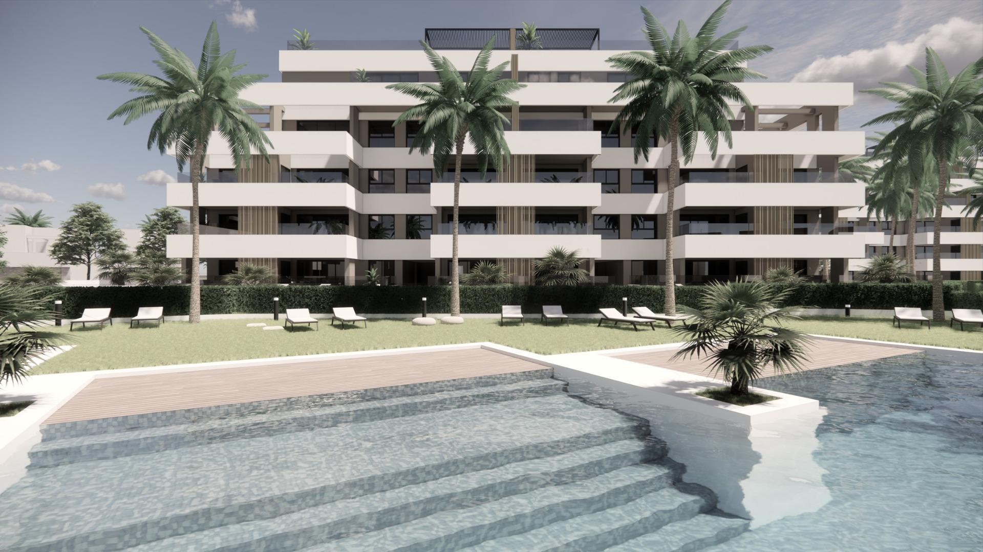  Torre - Pacheco #5