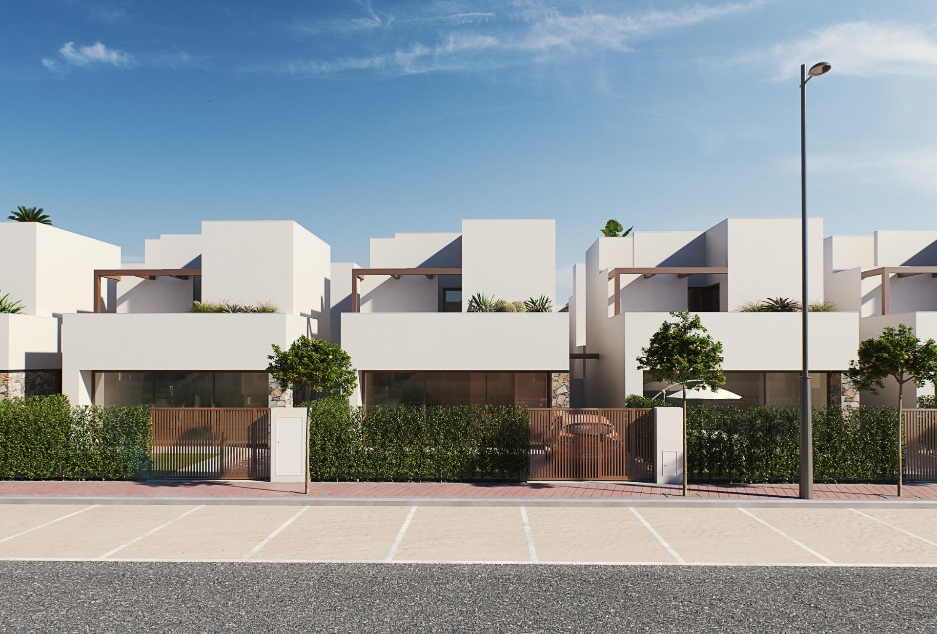  Torre - Pacheco #2