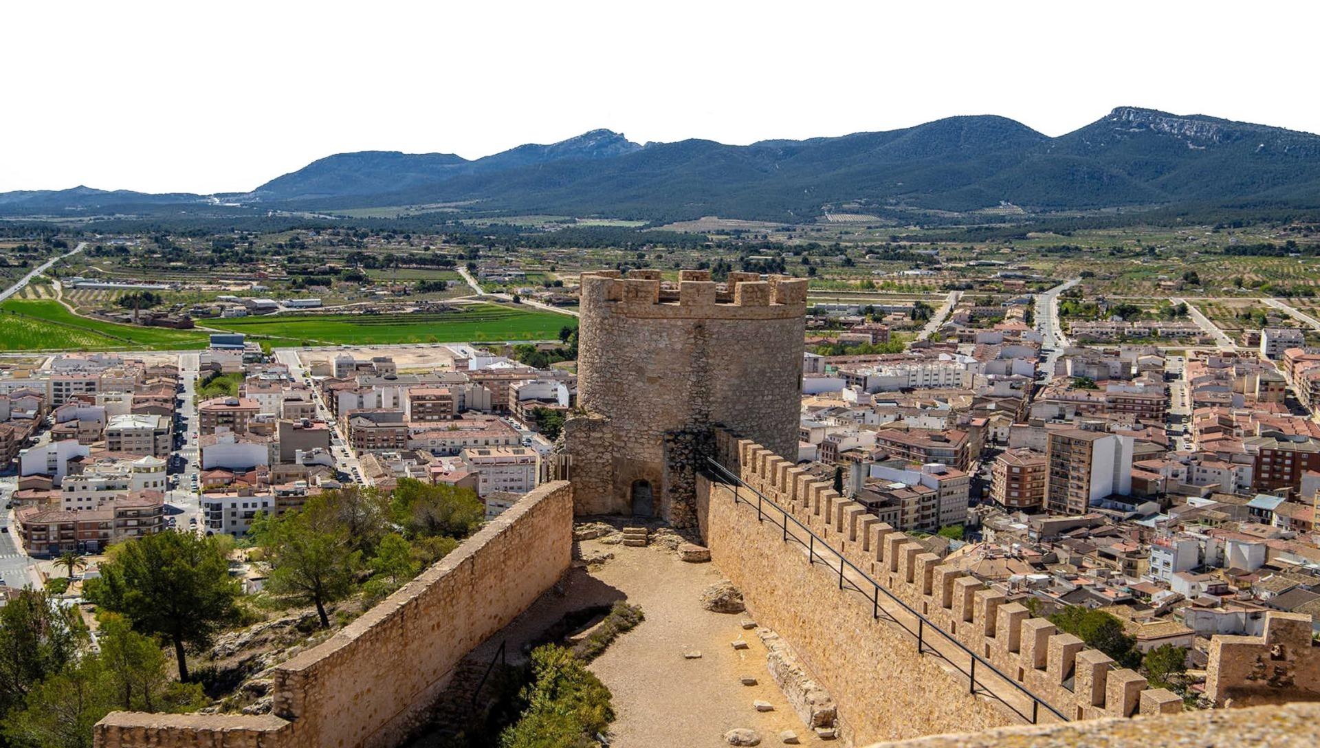  Alicante #11