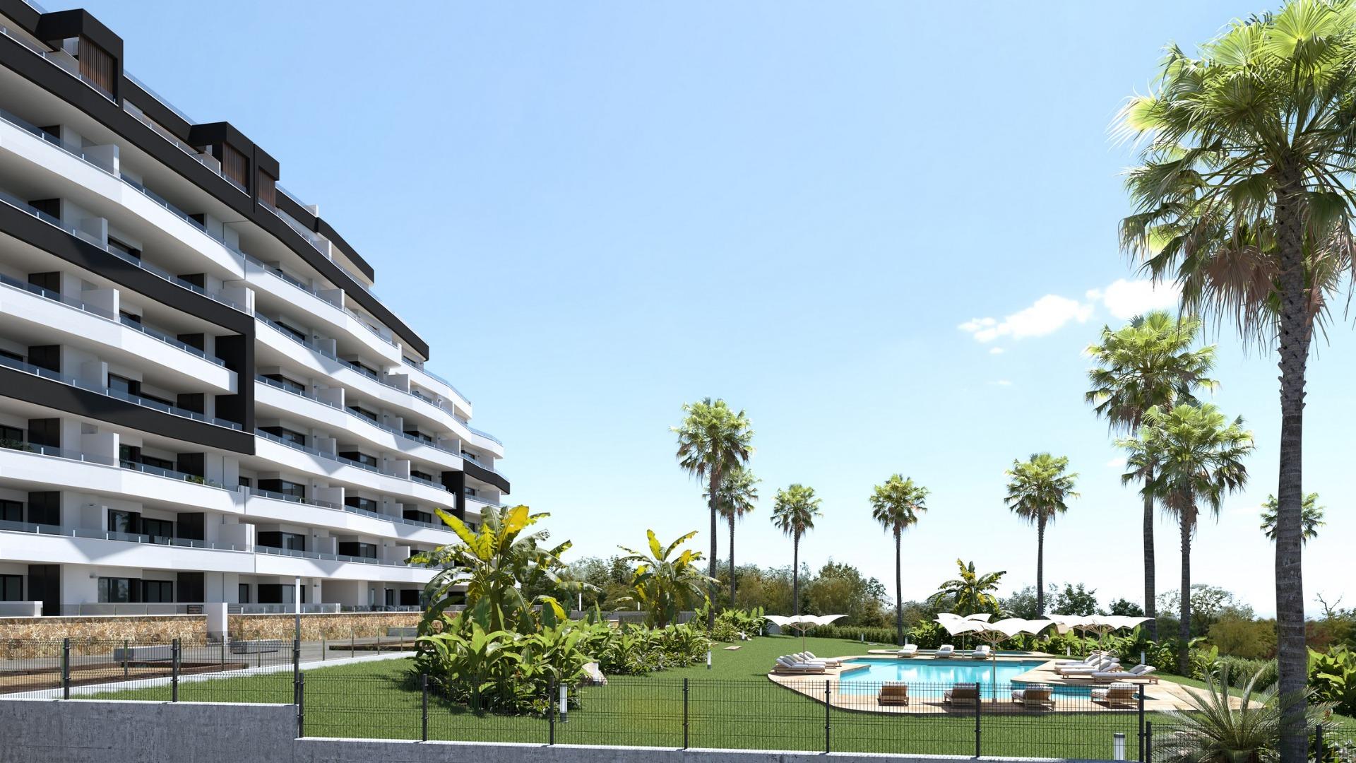  San Miguel de Salinas #9