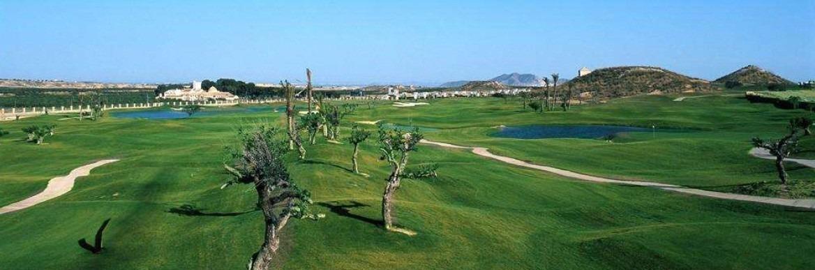  Murcia #7