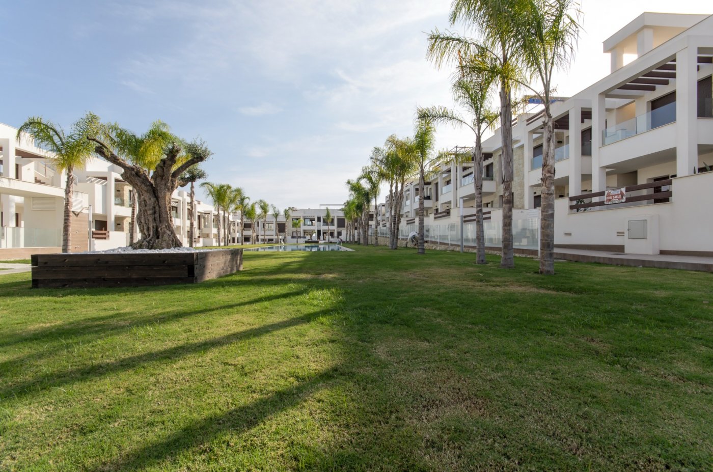  Torrevieja #26