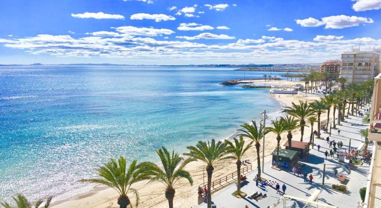  Torrevieja #14