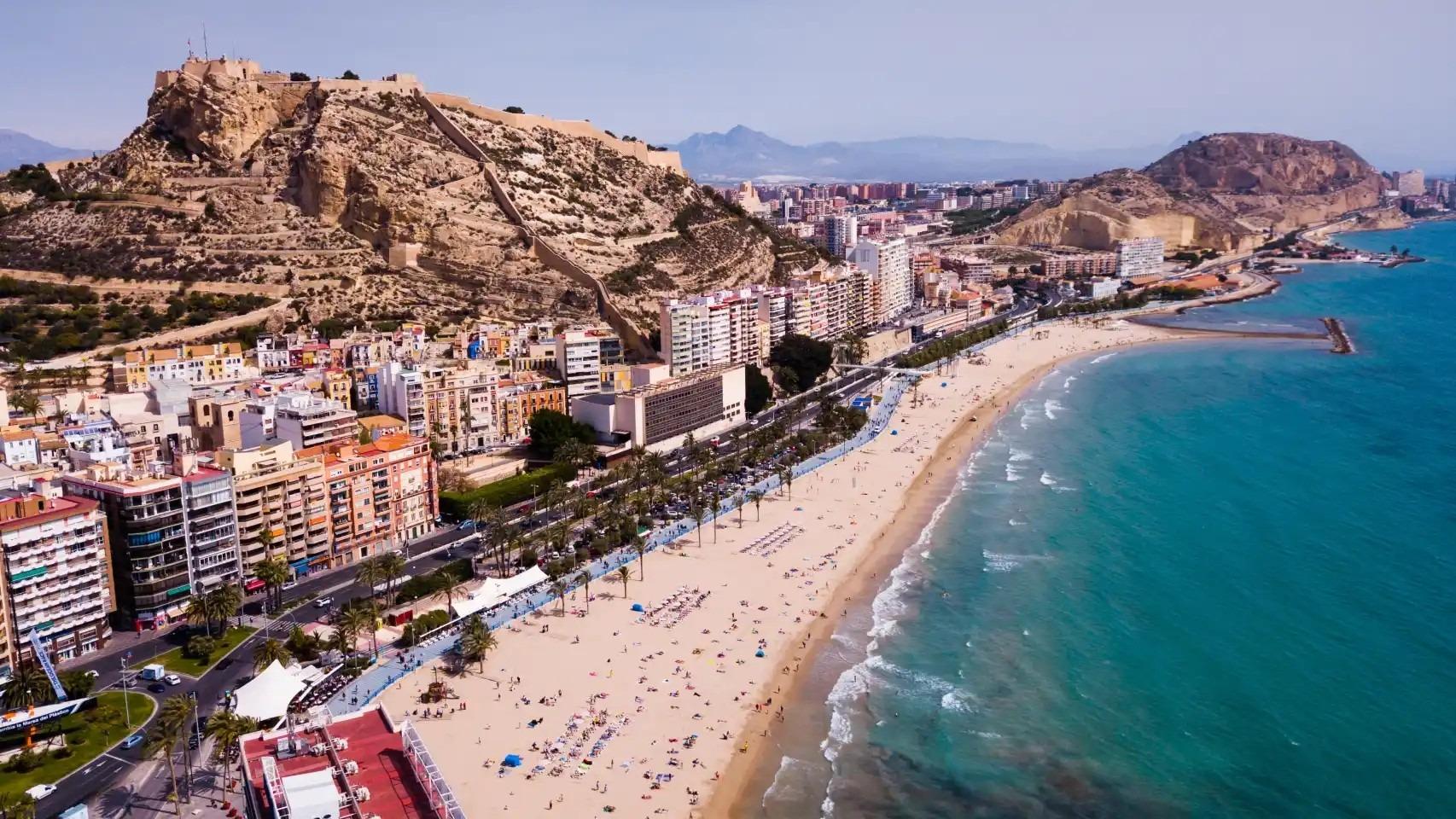  Alicante #12