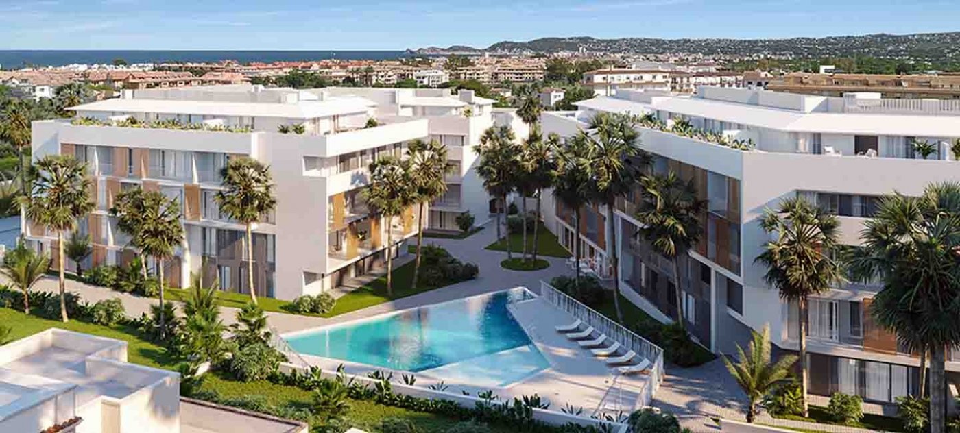  Alicante #6