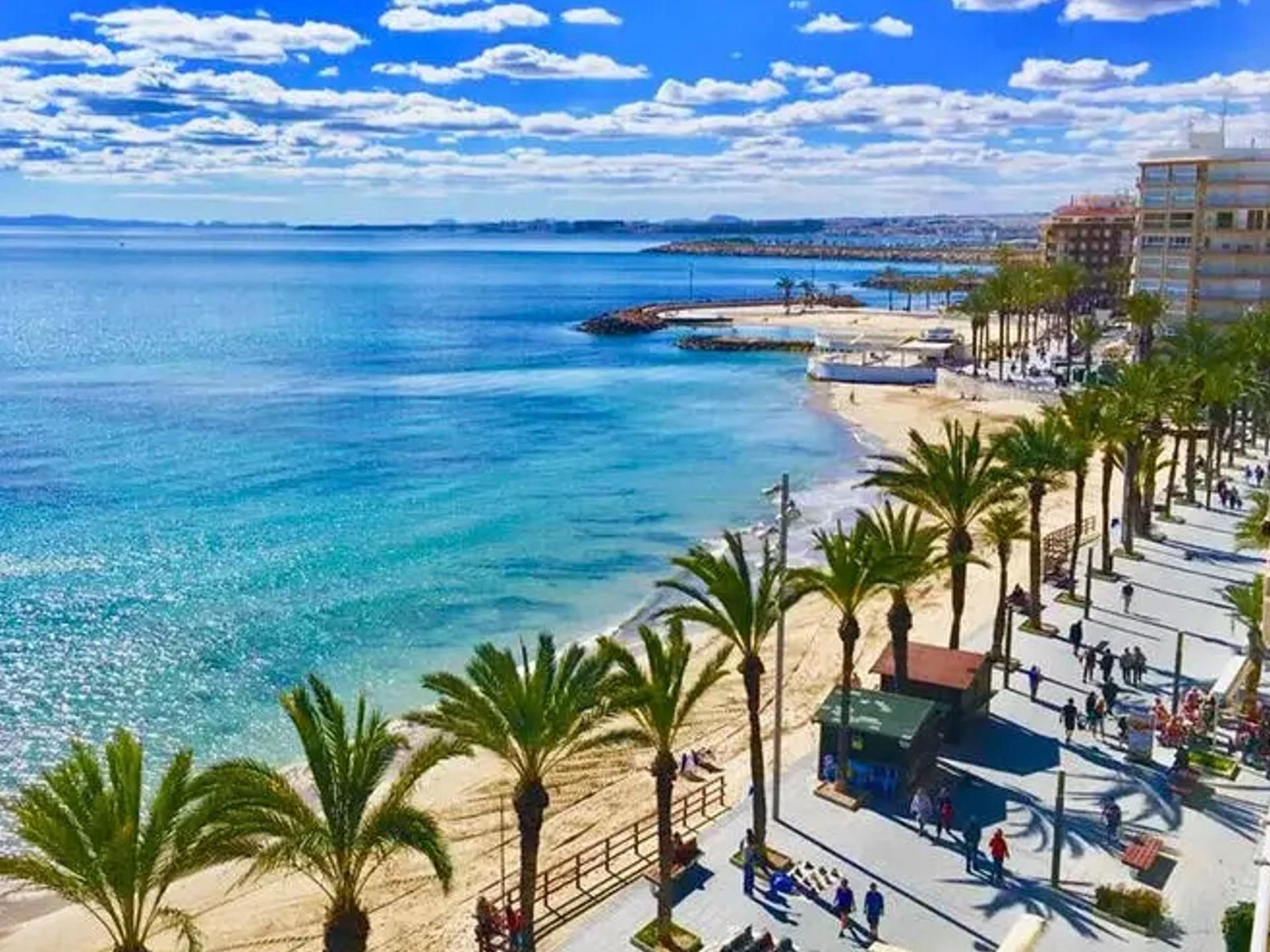  Torrevieja #13