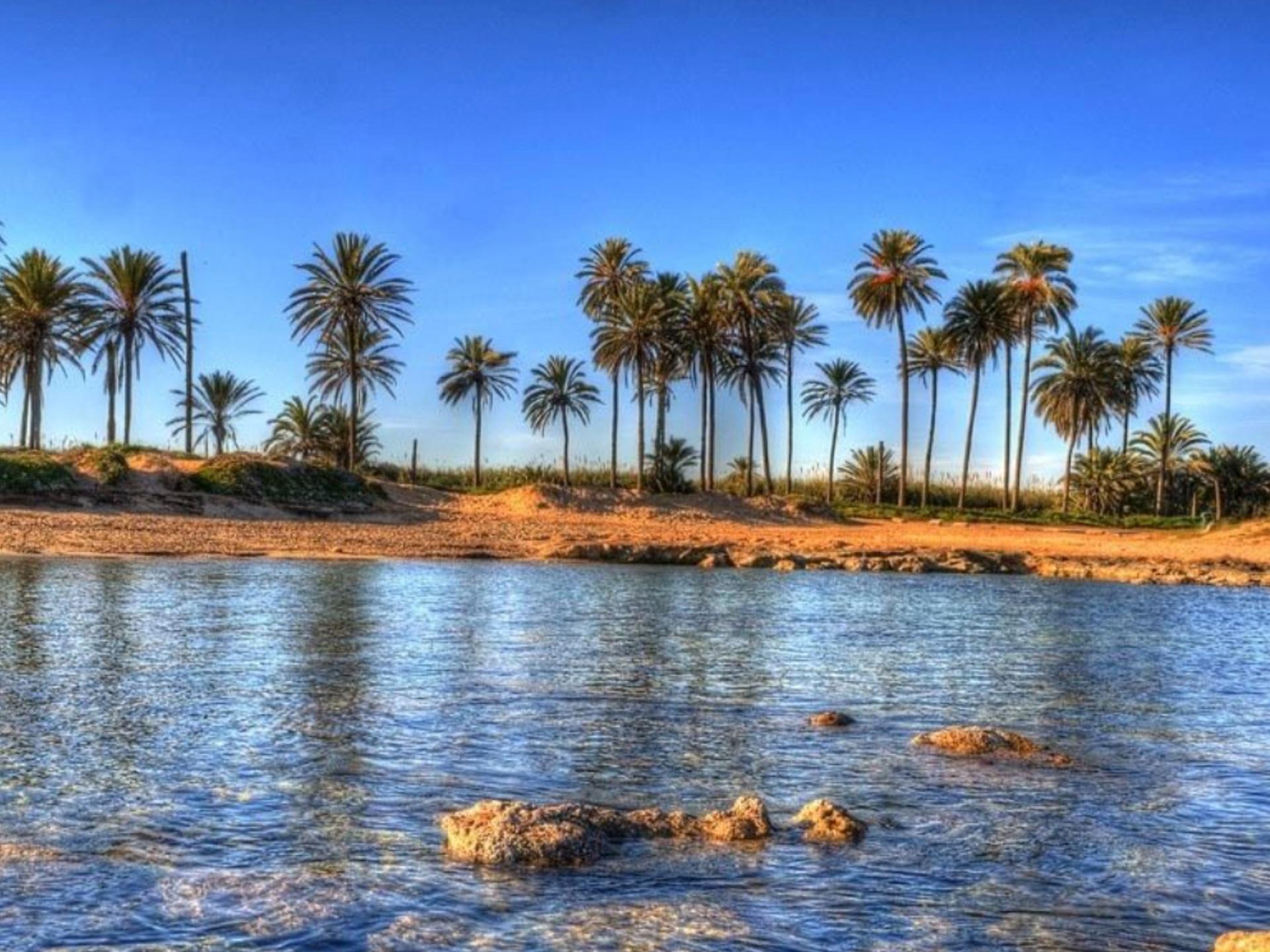 Torrevieja #14