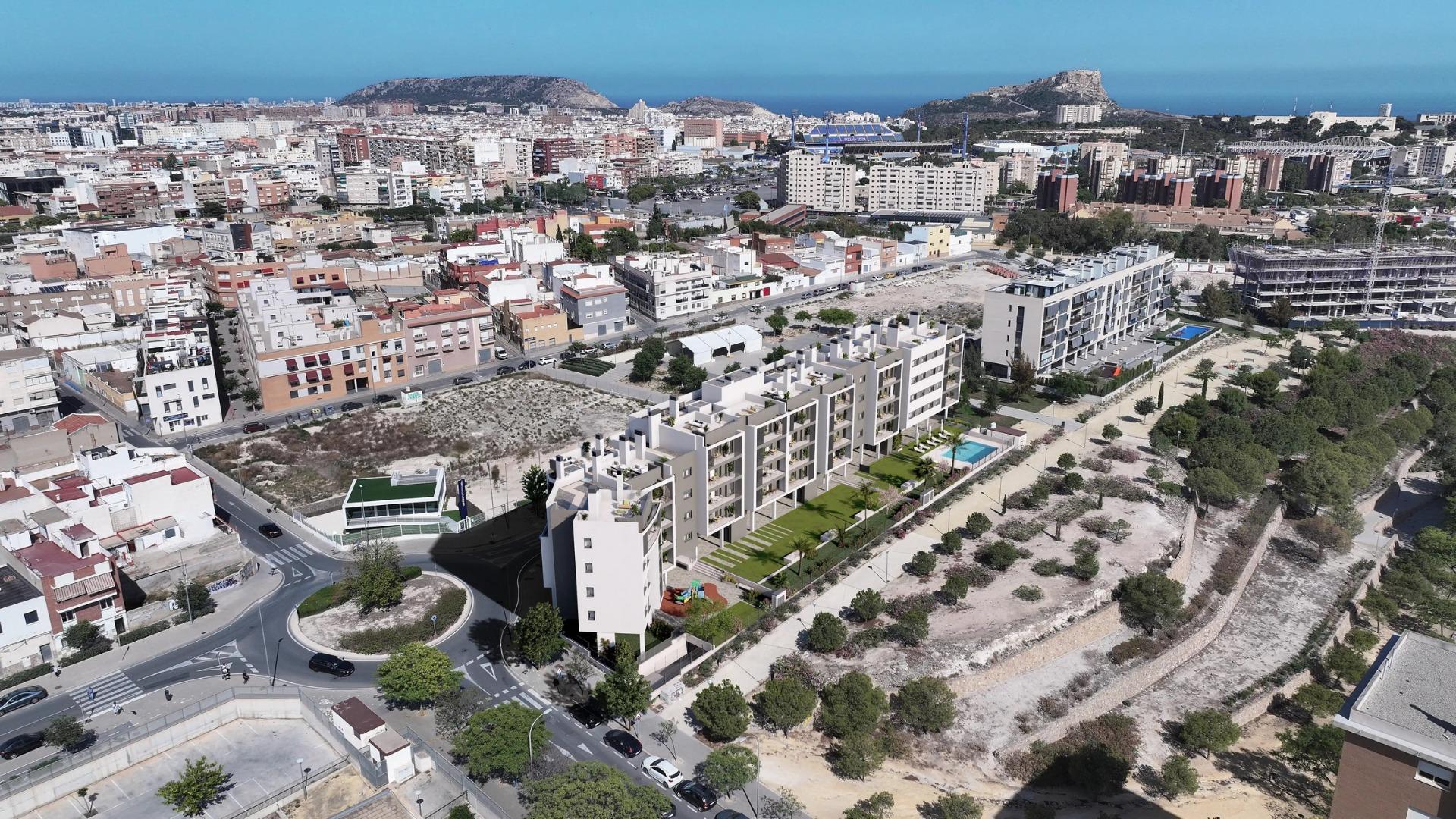 Alicante #12