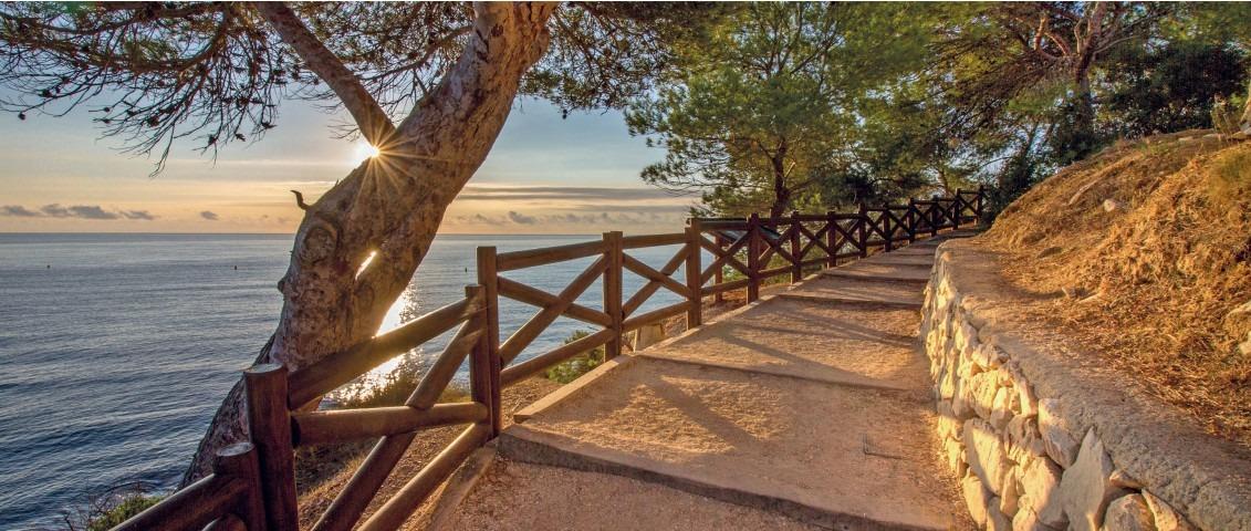 Alicante #12