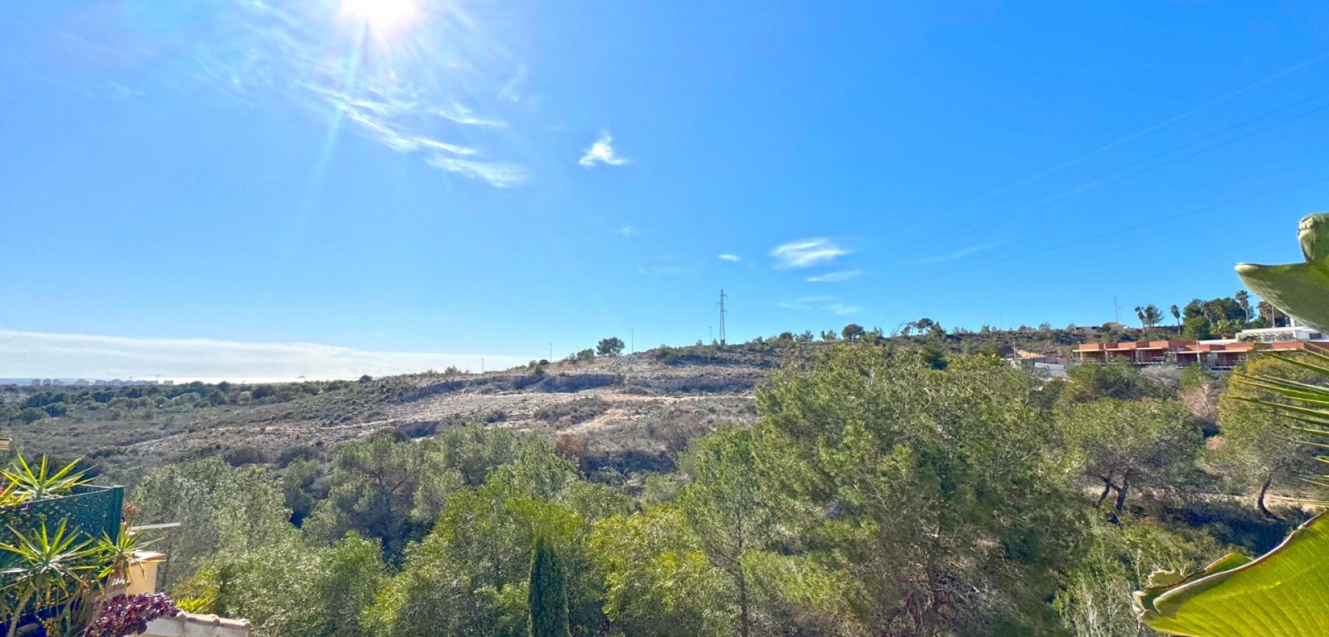  Orihuela Costa #11