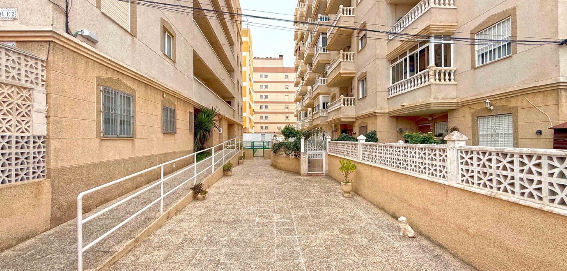 Apartament w Torrevieja #6