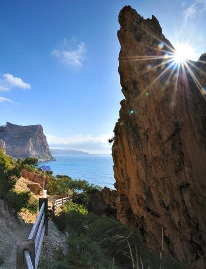  Alicante #13